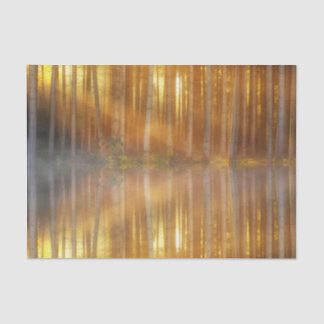 Misty Forest Scene Tissue Paper