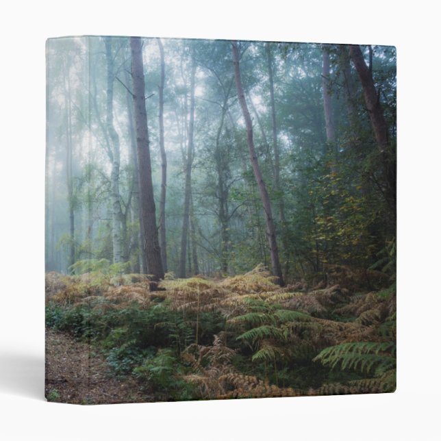 Misty Forest Walk 3 Ring Binder (Front/Spine)