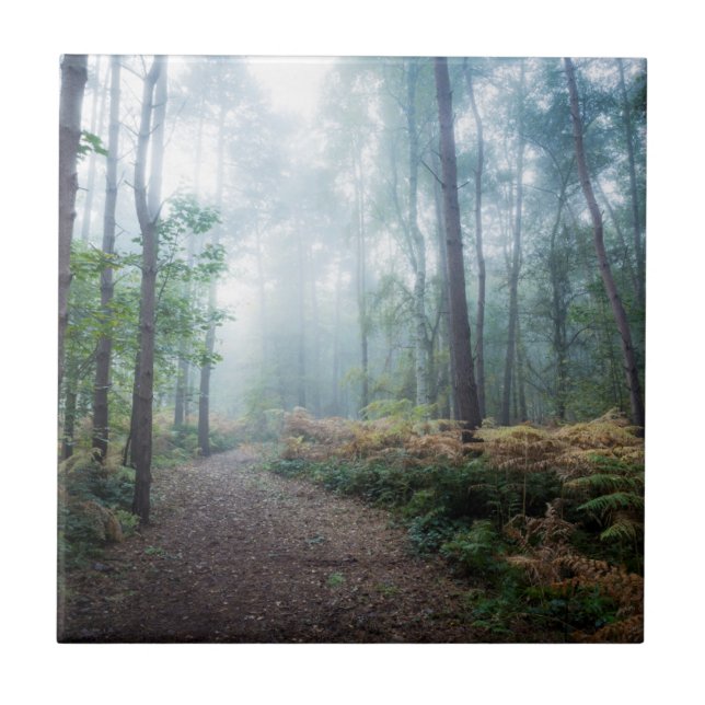 Misty Forest Walk Ceramic Tile (Front)