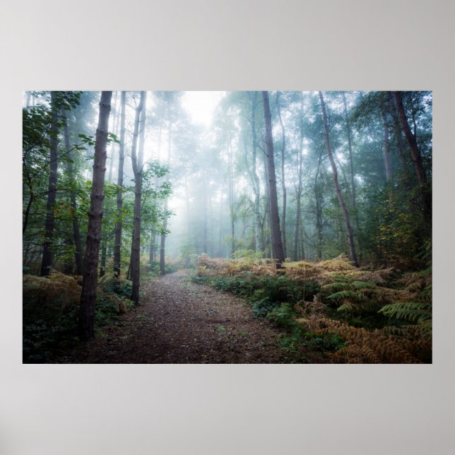 Misty Forest Walk Poster (Front)
