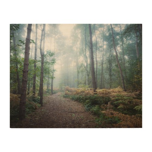 Misty Forest Walk Wood Wall Art