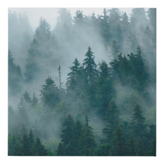 Misty landscape with fir forest in hipster vintage faux canvas print