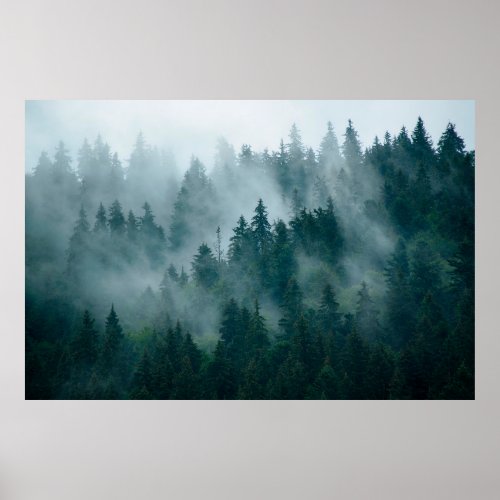 Misty landscape with fir forest in hipster vintage poster
