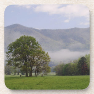 Misty meadow and Rich Mountain, Cades Cove, Beverage Coaster