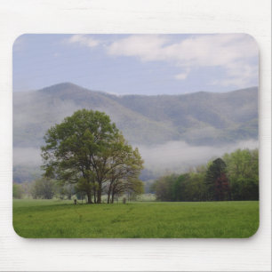 Misty meadow and Rich Mountain, Cades Cove, Mouse Pad