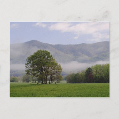 Misty meadow and Rich Mountain Cades Cove Postcard