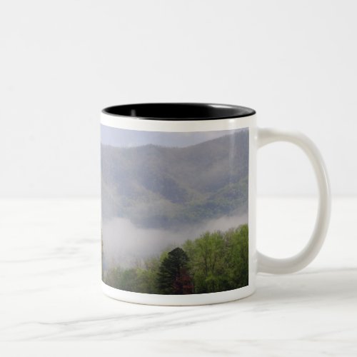 Misty meadow and Rich Mountain Cades Cove Two_Tone Coffee Mug