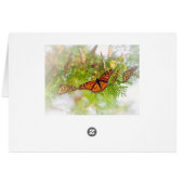 Misty Monarch Cards (Back Horizontal)