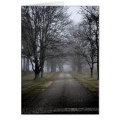 Misty Morning in Maine (Front)