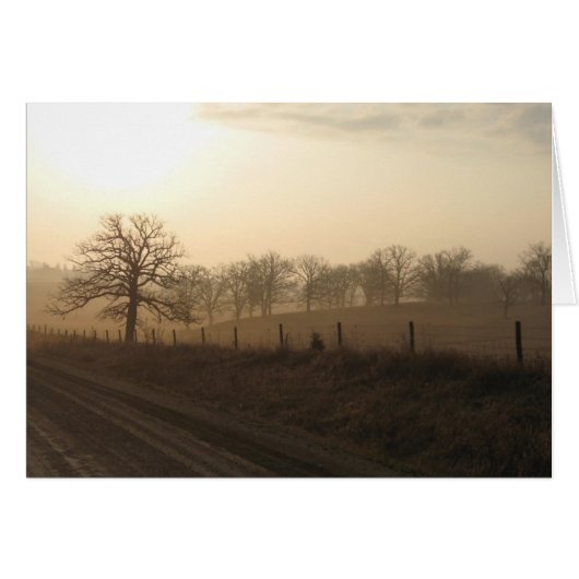 Misty morning in March (Front Horizontal)