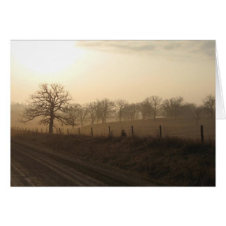 Misty morning in March Cards