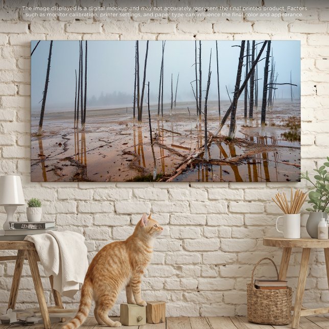 Misty Morning in Yellowstone Canvas Print (Creator Uploaded)