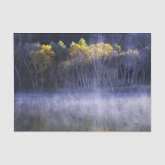 Misty Morning Lake Tissue Paper