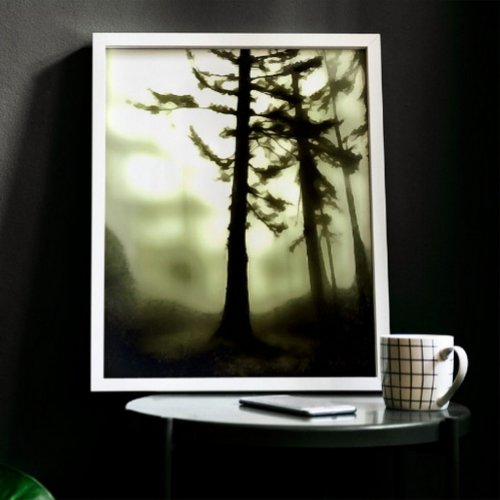 Misty Morning Monotone Forest Landscape Art Canvas Print