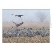 Misty Morning Nebraska Landing (Front Horizontal)