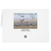 Misty Morning Nebraska Landing Cards (Back Horizontal)