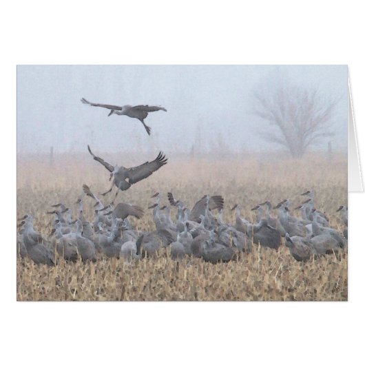 Misty Morning Nebraska Landing Cards (Front Horizontal)
