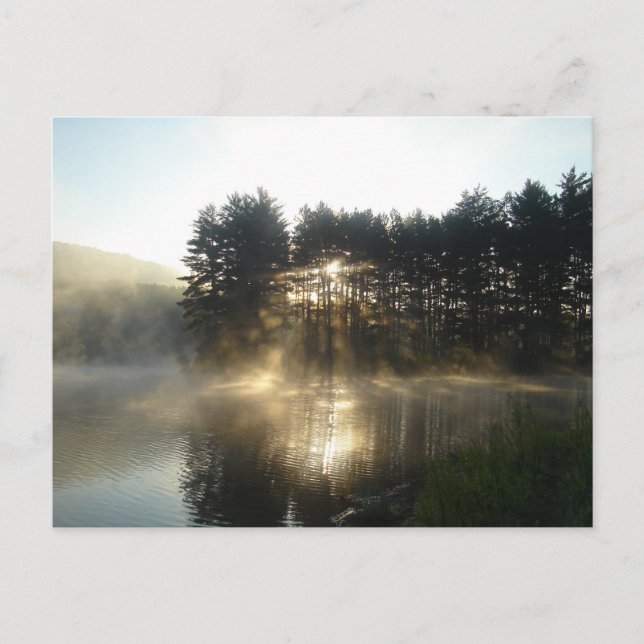 Misty Morning Sunrise Allegheny State Park Postcard (Front)