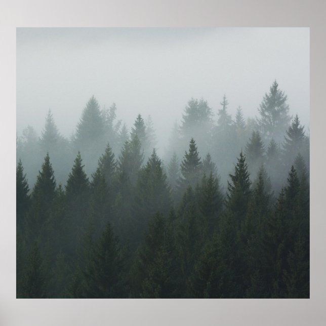 Misty Mountain Forest Autumn Fog Poster (Front)