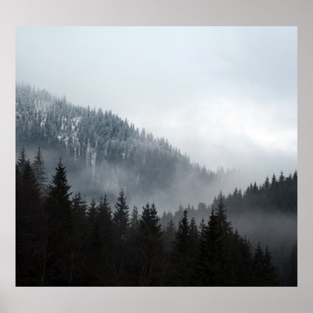 Misty Mountain Forest: Scenic Landscape View Poster (Front)