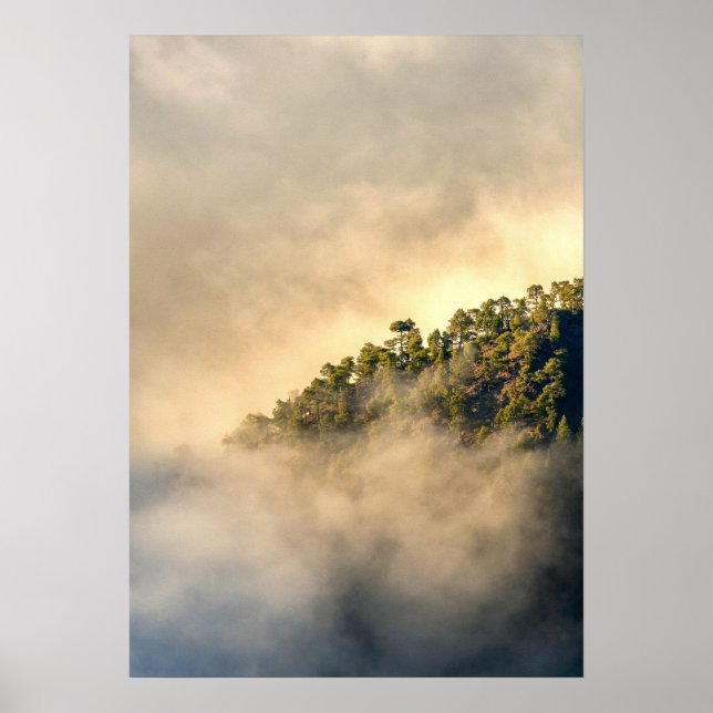 Misty Mountain Pine Forest Above the Clouds Poster (Front)