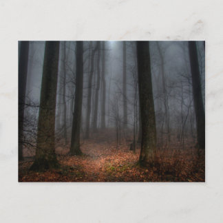 Misty Path to Flat Top Mountain Postcard