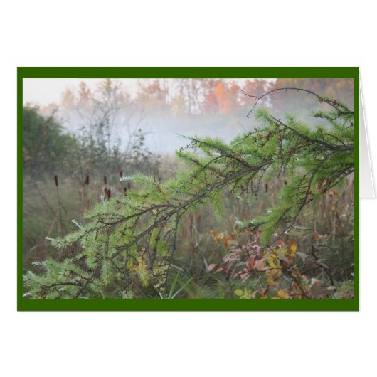 misty pine cards (Front Horizontal)