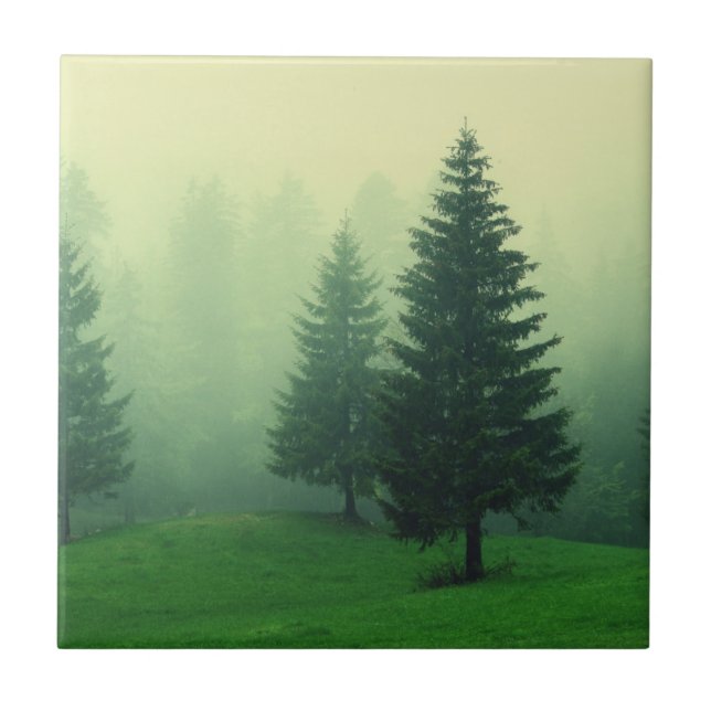 Misty Pine Forest Tile (Front)
