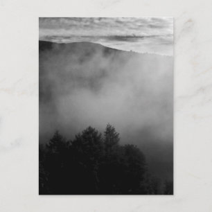 Misty Pines Postcard