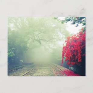 Misty Railroad Tracks Scenic Photo Holiday Postcard