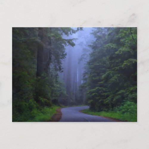 Misty Redwood National Park Postcard