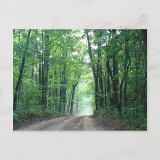 Misty Road Postcard