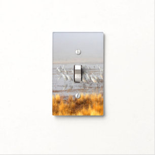 Misty Sandhill Cranes Light Switch Cover