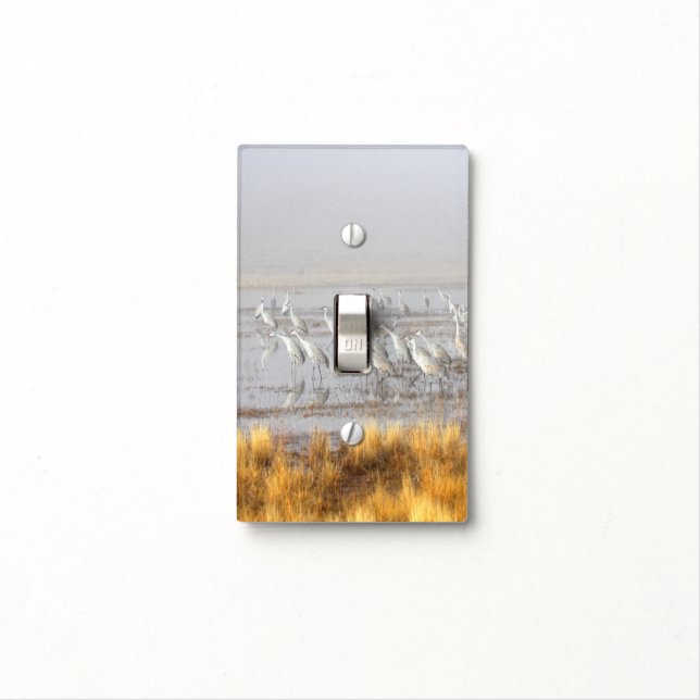 Misty Sandhill Cranes Light Switch Cover (In Situ)