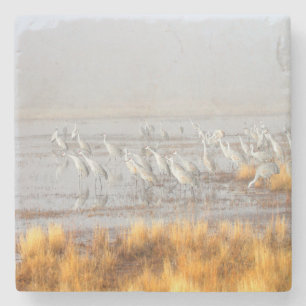 Misty Sandhill Cranes Stone Coaster