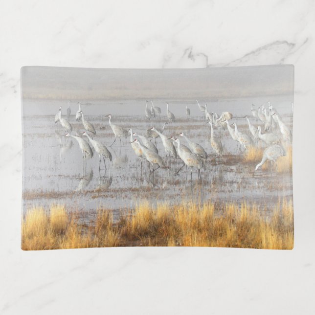 Misty Sandhill Cranes Trinket Tray (Front)