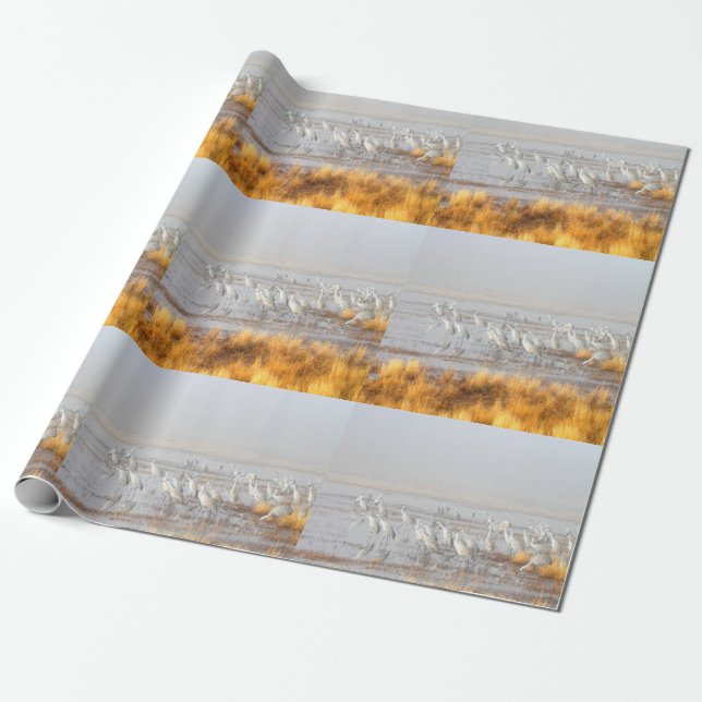 Misty Sandhill Cranes Wrapping Paper (Unrolled)