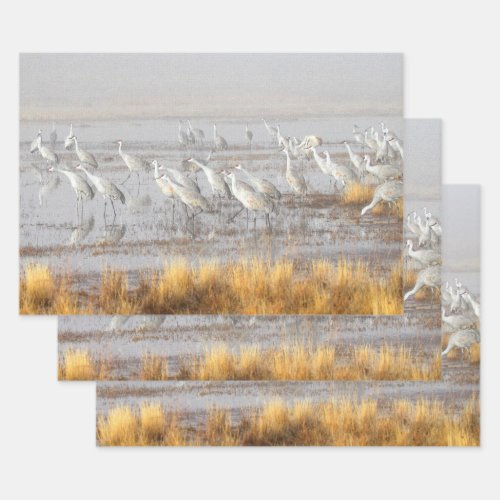 Misty Sandhill Cranes Wrapping Paper Sheets