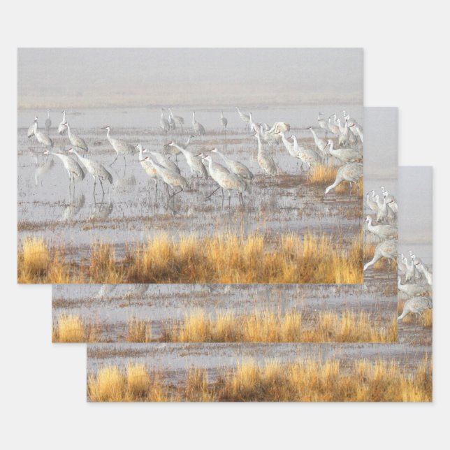 Misty Sandhill Cranes Wrapping Paper Sheets (Set)