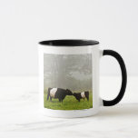 Misty Scene Of Belted Galloway Cow Mothering Her Mug at Zazzle