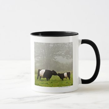 Misty Scene Of Belted Galloway Cow Mothering Her Mug by prophoto at Zazzle