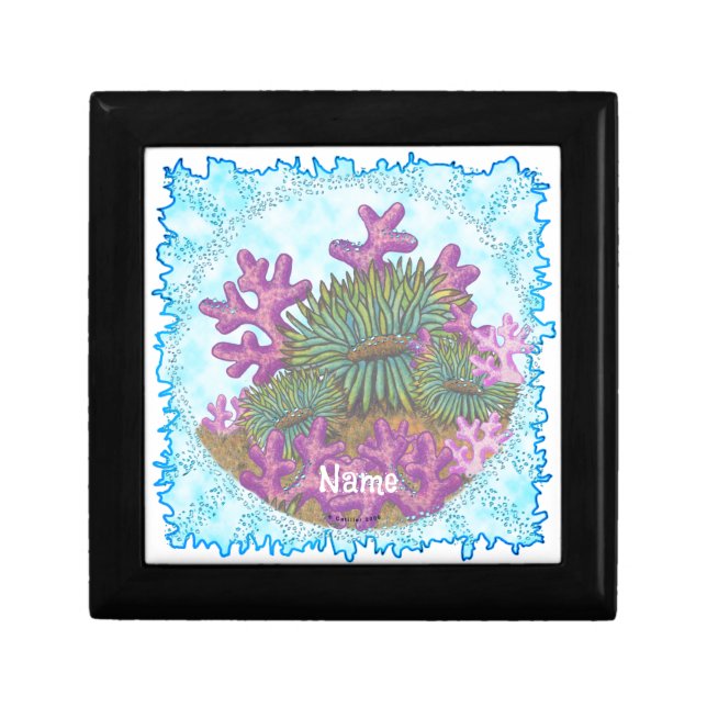 Misty Sea Coral seashells  Gift Box (Front)