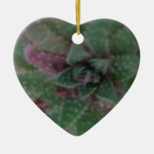 Misty Succulent, Green Purple, Nature, Flora Plant Ceramic Ornament