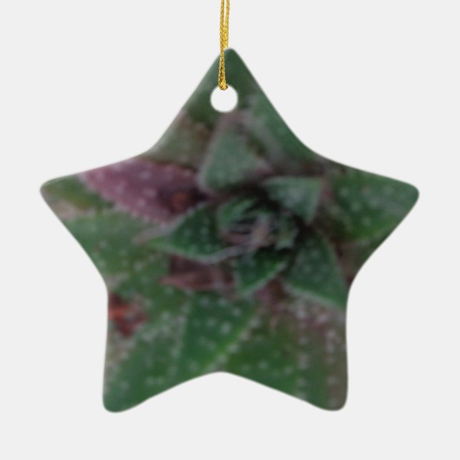 Misty Succulent, Green Purple, Nature, Flora Plant Ceramic Ornament (Front)