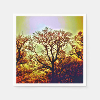 MISTY SUN TREES NAPKINS