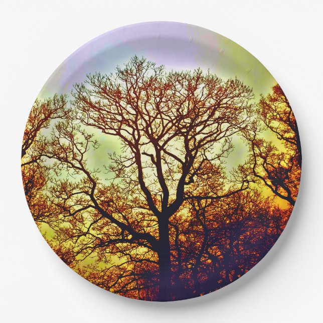 MISTY SUN TREES PAPER PLATES (Front)