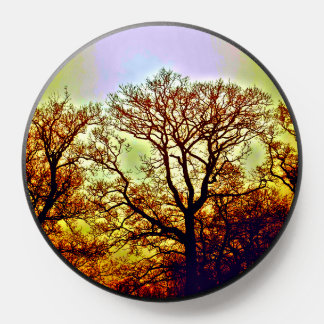MISTY SUN TREES PopSocket
