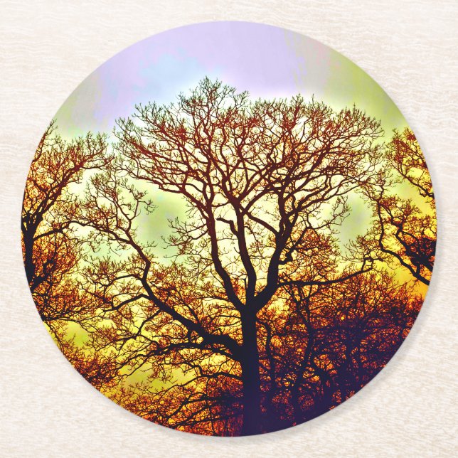 MISTY SUN TREES ROUND PAPER COASTER (Front)