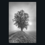 Misty Sunrise Photo Print<br><div class="desc">HDR</div>