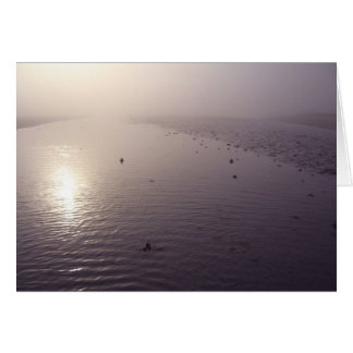 Misty sunset cards